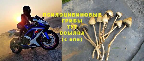 марки nbome Пролетарск
