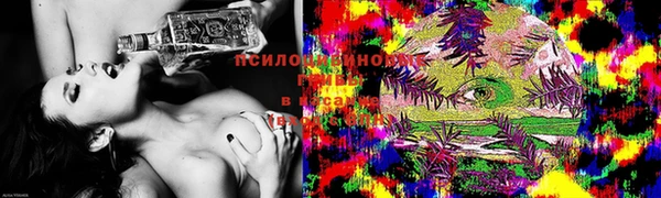 марки nbome Пролетарск