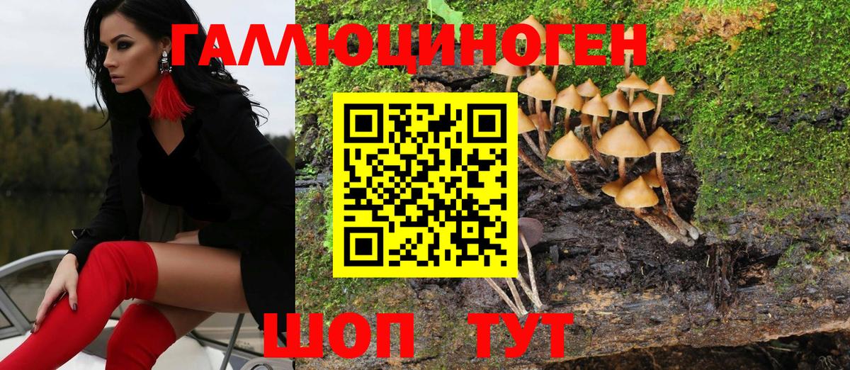 Псилоцибиновые грибы GOLDEN TEACHER  Галлюциногенные грибы прущие грибы  Богородицк  Вход с VPN 
